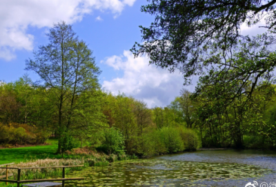 ​表现造句,用表现怎么造句