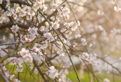 ​蛙造句,用蛙怎么造句