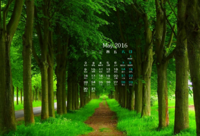 ​美好造句,用美好怎么造句