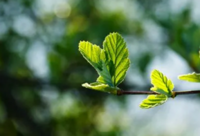 ​耳熟能详造句,用耳熟能详怎么造句
