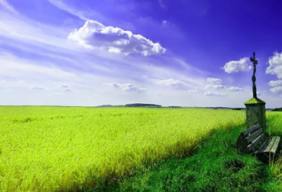 ​神造句,用神怎么造句