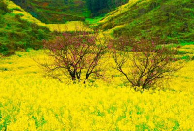 ​尊重造句,用尊重怎么造句