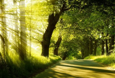 ​白日做梦造句,用白日做梦怎么造句