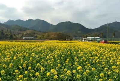 ​大雪纷飞造句,用大雪纷飞怎么造句