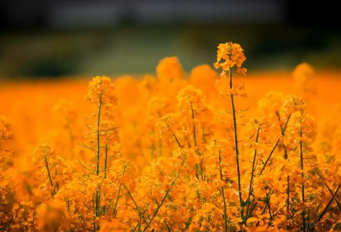 1688217398168143.png image.png