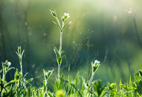 1688217730499624.png image.png