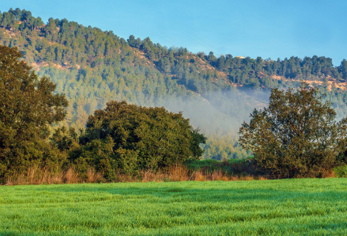 1688218230871510.png image.png