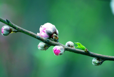 ​骨造句,用骨怎么造句