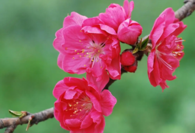 ​说造句,用说怎么造句