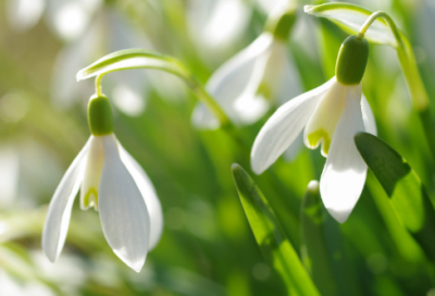 ​窝囊废造句,用窝囊废怎么造句