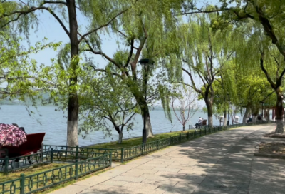 ​球造句,用球怎么造句