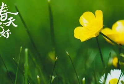 ​许多造句,用许多怎么造句