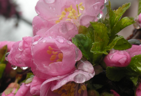 1688219563443167.png image.png