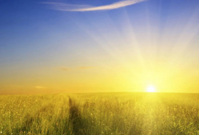 ​稳坐钓鱼台造句,用稳坐钓鱼台怎么造句