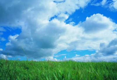 ​罚不当罪造句,用罚不当罪怎么造句