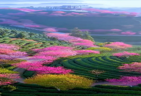 1688220568880451.png image.png