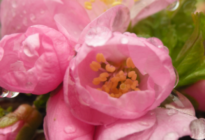 ​可造句,用可怎么造句