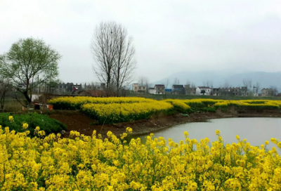 ​形单影只造句,用形单影只怎么造句