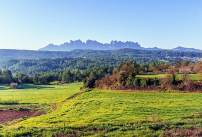 ​其貌不扬造句,用其貌不扬怎么造句