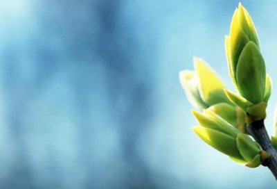 ​有一搭没一搭造句,用有一搭没一搭怎么造句