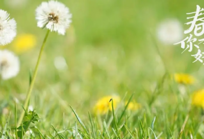 ​米造句,用米怎么造句