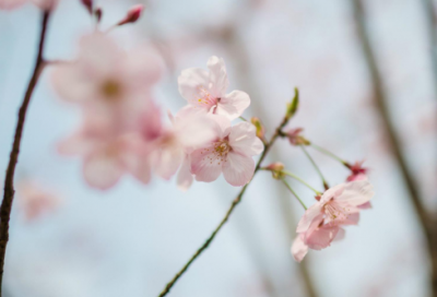 ​腐造句,用腐怎么造句