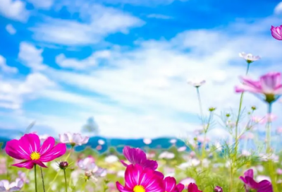 ​天涯若比邻造句,用天涯若比邻怎么造句