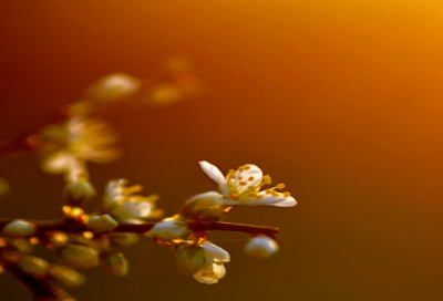 ​段造句,用段怎么造句