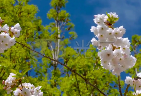 1688224065857544.png image.png