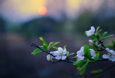 ​坐井观天造句,用坐井观天怎么造句