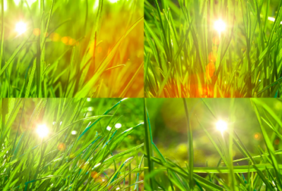 ​网造句,用网怎么造句