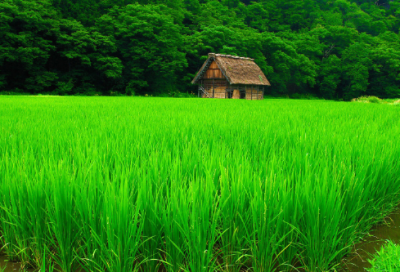 ​窗明几净造句,用窗明几净怎么造句