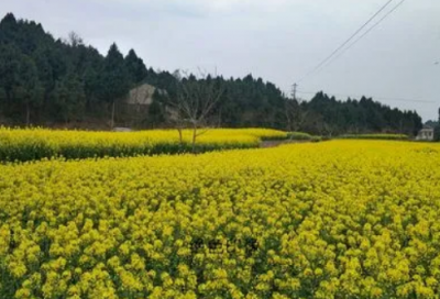 ​方寸地造句,用方寸地怎么造句