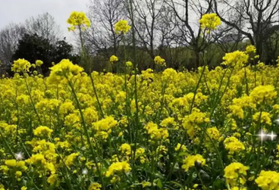 ​教造句,用教怎么造句