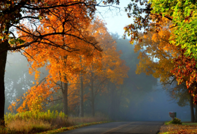 ​有说有笑造句,用有说有笑怎么造句