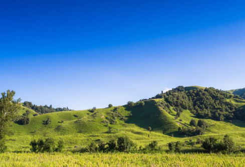 1688228614494567.png image.png