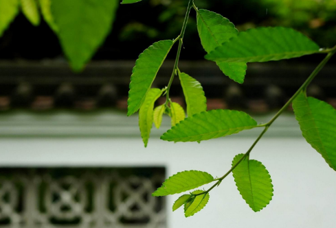 1688229114511000.png image.png