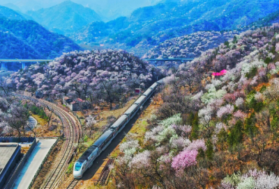 ​半推半就造句,用半推半就怎么造句