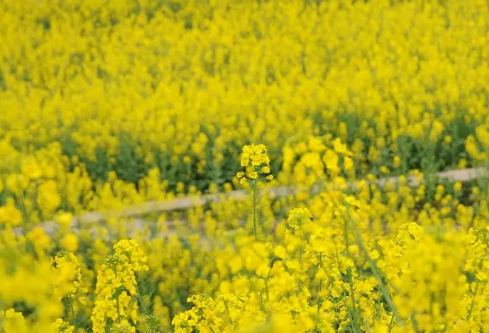 1688230114825925.png image.png