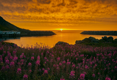 1688230283861635.png image.png