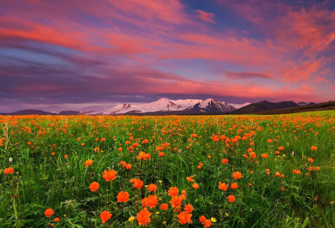 1688230447704806.png image.png