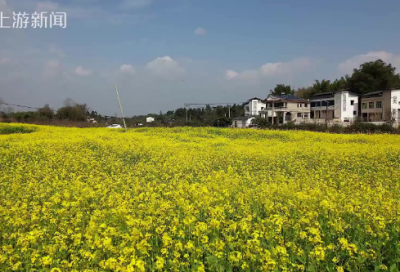 ​印造句,用印怎么造句