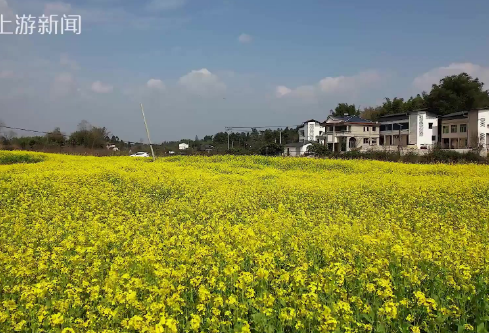 1688230614683105.png image.png