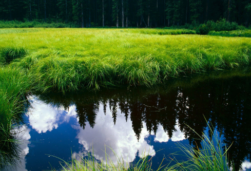 1688230781254192.png image.png