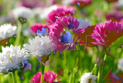 ​总是造句,用总是怎么造句