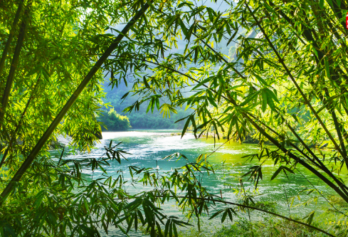 1688231280664785.png image.png