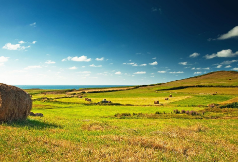 1688231447676398.png image.png