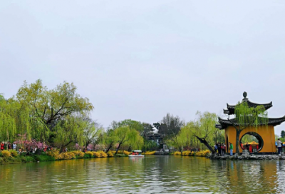 ​见树不见林造句,用见树不见林怎么造句