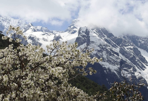 1688234945457748.png image.png