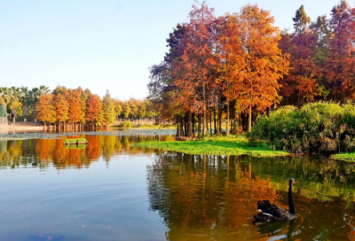 ​色彩造句,用色彩怎么造句